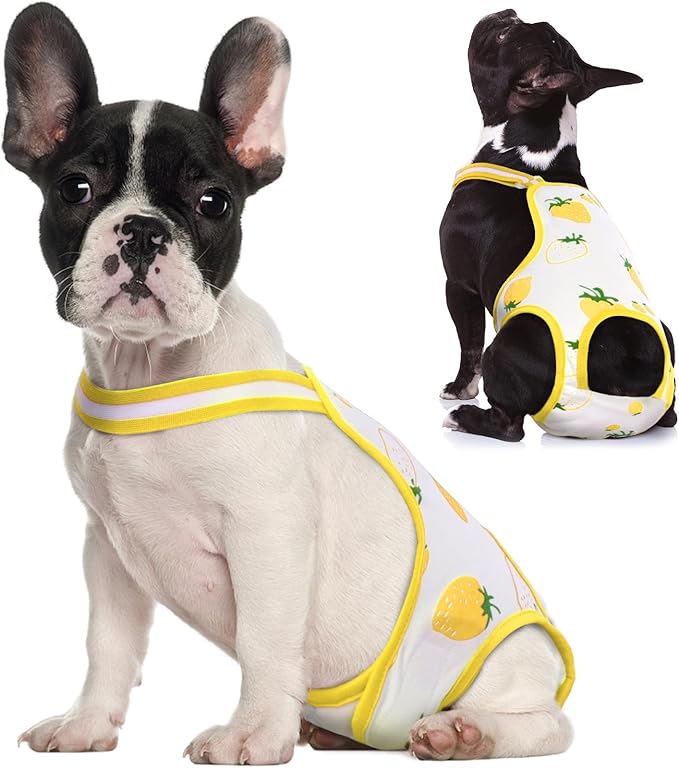 QBLEEV Dog Diapers Female Washable Sanitary Pantie with Adjustable Suspender, Reusable Male Dog Period Diapers for Heat, Doggie Diapers Cute Pet Panties Puppy Dog Underwear for Teddy French Bulldog M