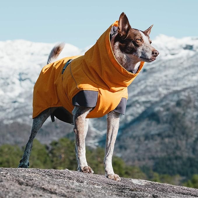 Hurtta Expedition Parka, Winter Dog Coat, Buckthorn, 12 in