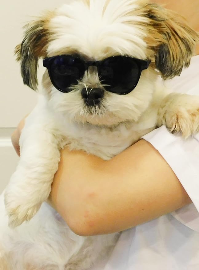G014 Dog Cat Pet Panto Round Sunglasses up to 15lbs (2-Pack Panto Black + Panto Black-Rainbow Mirror)