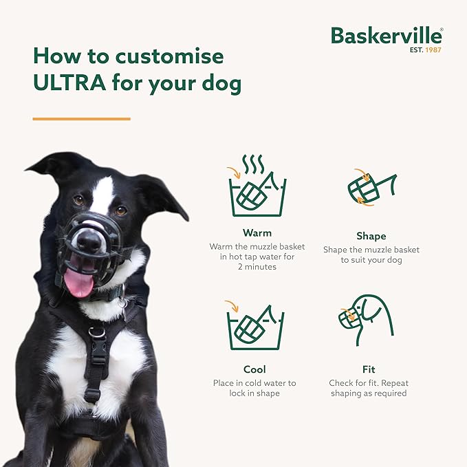 Baskerville ULTRA Muzzle - Patented Humane Design, Breathable, Dog can Pant and Drink, Adjustable, Padded, Dog Training Muzzle for Small Dogs, Prevents Biting, Wildlife Scavenging (Size 2, Black)