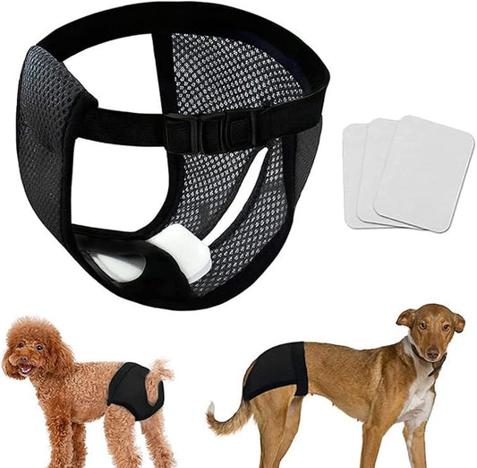 Female Dog Heat Cycle with 3 Replace Diaper,Dog Pants in Heat Reusable Diapers Adjustable Protective Pants for Dogs Black M