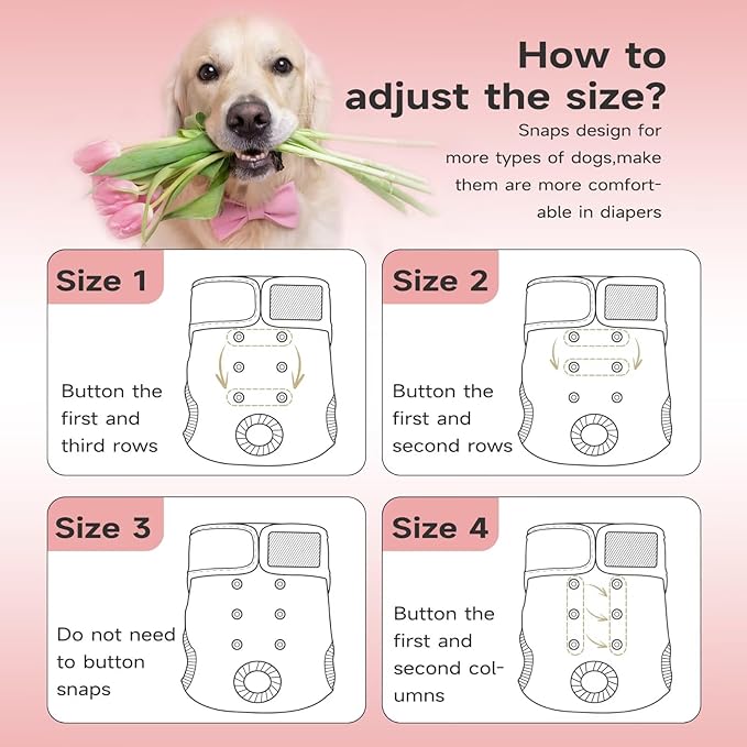 Paw Legend Washable Reusable Female Dog Period Diapers for Heat Doggie Puppy Diapers for Female Dogs (3 Pack,X-Small)