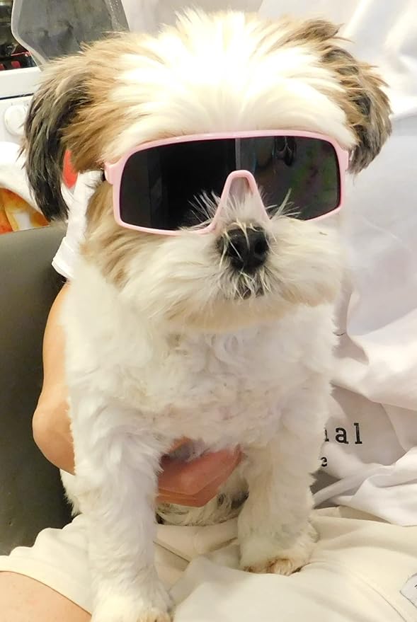 G029 Dog Cat Pet Sports Turbo Small Sunglasses for Toy Breeds 8-18lbs (Sport Turbo Pink)