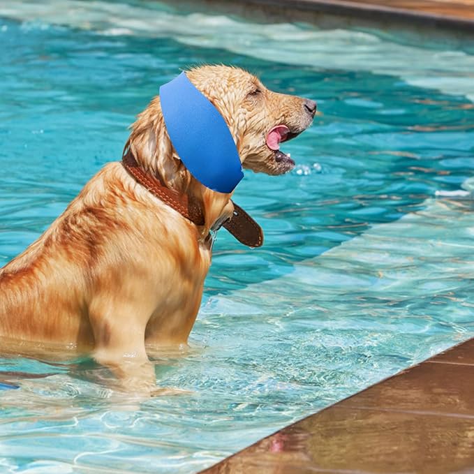 3PCS Dog Swim Cap Plugs, Waterproof Dog Bath Cap Ear Covers for Ear Protection for Bath, Swimming, Pet Grooming -Supply for Small Medium Large Dogs Puppies, Blue
