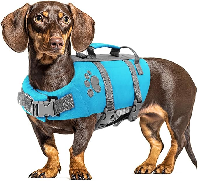 Queenmore Dog Life Jacket Medium, Dog Life Vest for Swimming, Life Vest for Medium Dogs, Floating Pet Vests for Boating Kayaking, Pet Life Jackets with Safety Handle Hook, Puppy Swim Vest