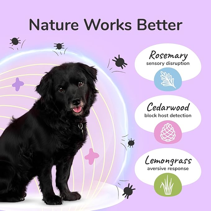 kin+kind Cat & Dog Shampoo Flea and Tick Vet Formulated - Natural Flea and Tick Prevention for Dogs - Plant Powered Shampoo w/Coconut & Olive Oil - Pet Supplies - Lemon Grass - Made in USA 12 fl oz