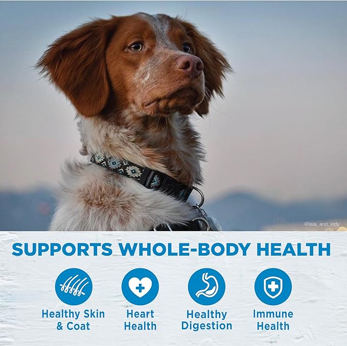 Wellness Simple Limited Ingredient Dry Dog Food for Sensitive Stomachs, Supports Skin & Coat, Grain Free, Natural, Healthy Weight Salmon & Peas Recipe, (24-Pound Bag)
