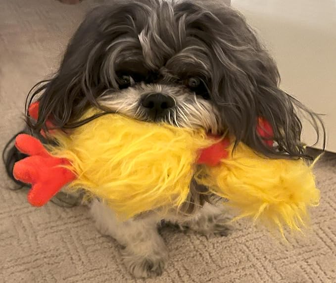 Glory To Dog Phyllis The Crazy Chicken Plush and Squeak Small and Medium Breed Dog Toy