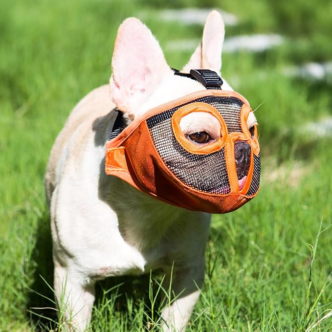 Short Snout Dog Muzzles- Adjustable Breathable Mesh Bulldog Muzzle for Biting Chewing Licking Grooming Dog Mask,Orange N-S