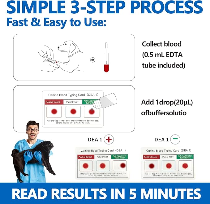 Canine Dog Blood Typing Test Kit for DEA1 Detection | at-Home Dog Blood Type Test with Free Stainless Steel ID Tag