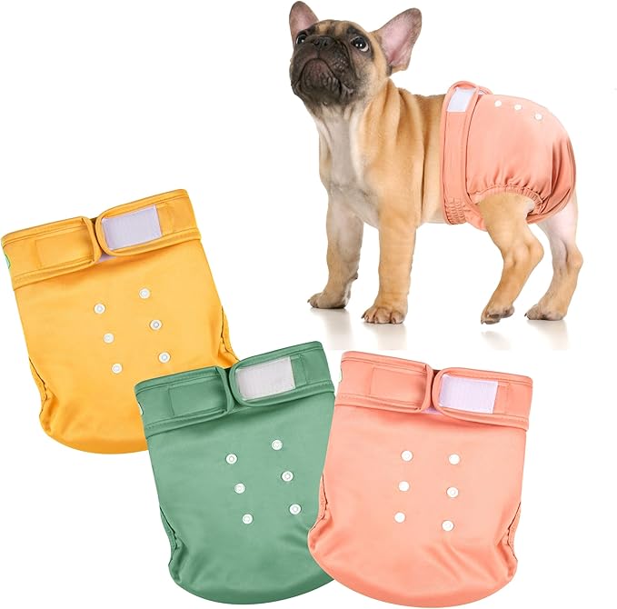 wegreeco Frenchie Dog Diapers Female No Tail Hole,Washable Pet French Puppy Bulldog Diapers Female for Period Heat,Reusable Doggy Doggie Dog Diapers （Large）