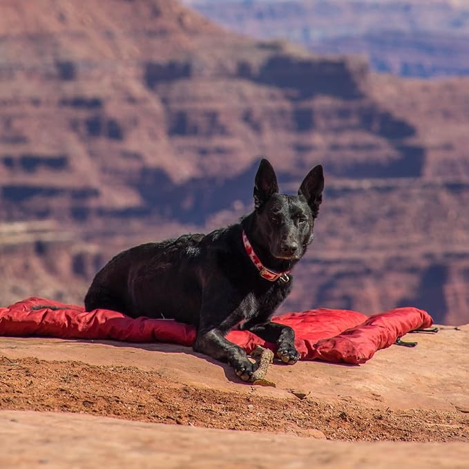 Kurgo Loft Wander Dog Bed - Travel-Friendly Comfort Roll - Durable Water Resistant Top - Microtomic Ripstop Material - Portable Bed Roll - Non-Slip Bottom - Chili Red - Medium