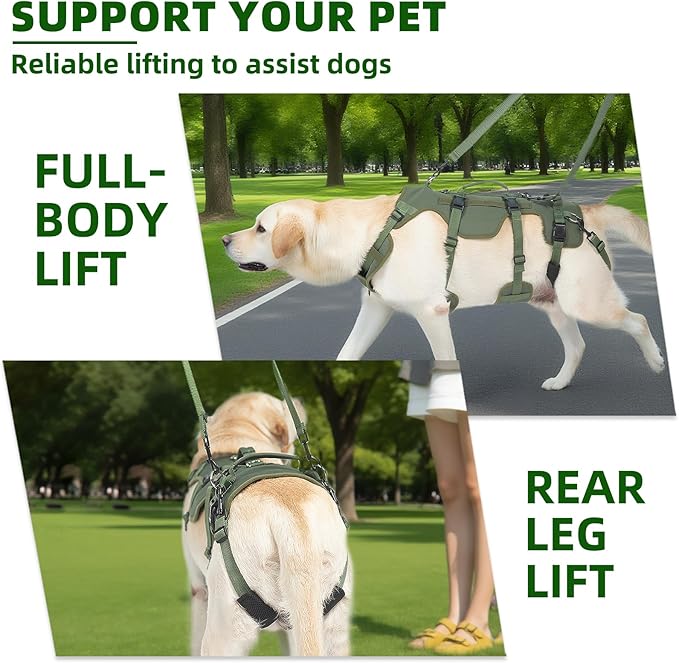 PUPTECK Dog Lift Harness for Medium Large Sized Dog, Rehabilitation Sling for Hind Leg Support, Multifunctional Mobility Assistance Harness for Old, Disabled, Joint Injuries, Paralysis Dogs, Green M
