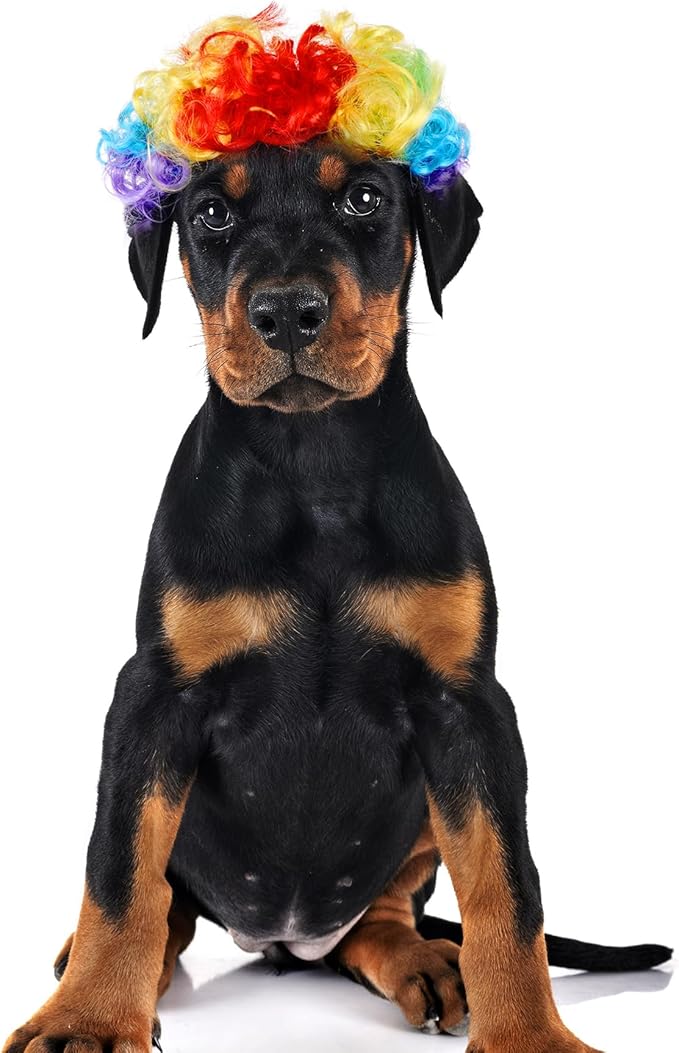 1pcs Funny Pets Wigs for Dog, Funny Rainbow Curly Dog Wig Adjustable Pet Wigs for Halloween Pet Cat Decoration Accessories for Halloween, Christmas, Parties Cosplay