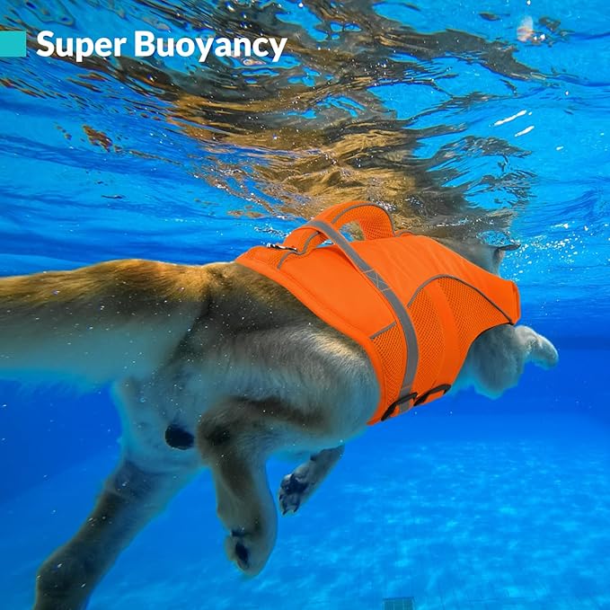 Queenmore Dog Life Jacket, Adjustable Ripstop Dog Life Vest for Swimming Boating, Pet Lifesaver with Superior Buoyancy and Rescue Handle, Doggy Swimming Vest for Large Dogs（Orange,L）
