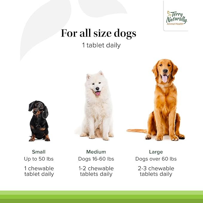Terry Naturally Active Mobility - Joint Health Support for Pets - Supplement for Animal Health - Hip and Knee Aid for Dogs - Includes Glucosamine, Chondroitin & Collagen - 60 Chewable Tablets
