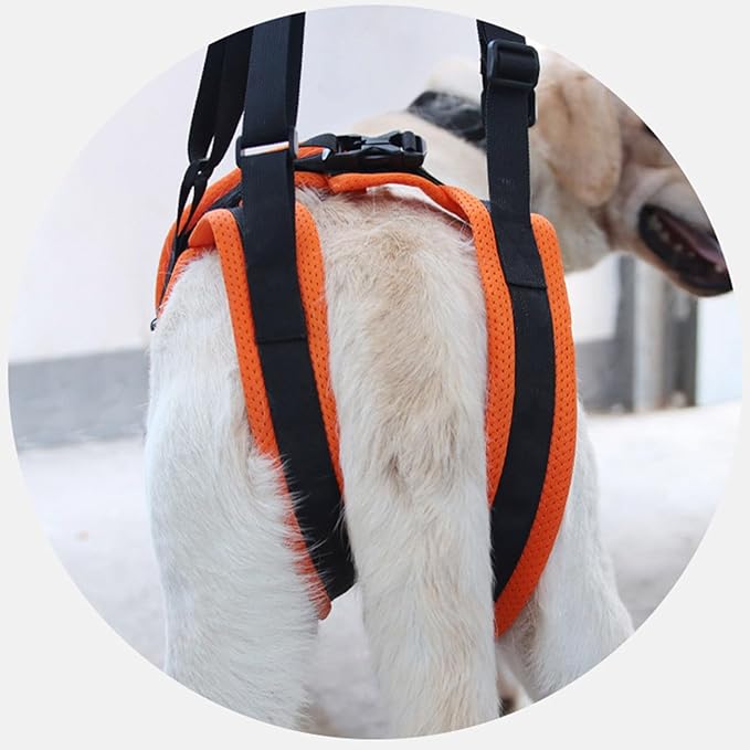 Rear Leg Care Pet Tractions Auxiliary Belt Rehabilitation Exercise Balances Harness for Leg Disabled Elderly Dog Lift for Weak Legs Small Lift for Weak Legs Full Body Lifting & Flexibility Aid