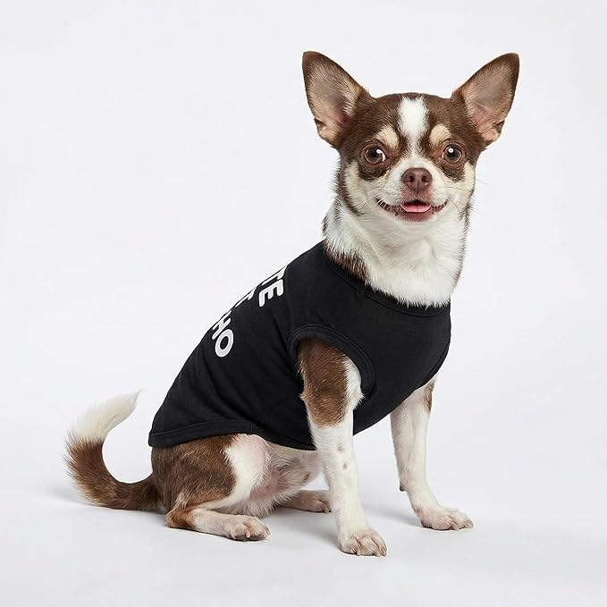Fitwarm Cute But Psycho Dog Shirt, Summer Clothes for Small Dogs Boy Girl, Funny Pet Outfit, Black, White, Large