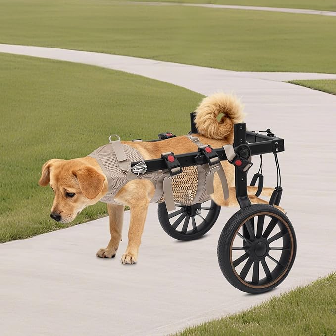Pet Rehabilitation Walking Aid for Large Dogs, Adjustable 2-Wheel Dog Wheelchair for Back Legs with Breathable Mesh Harness for Senior Disabled Dogs Recovery Support