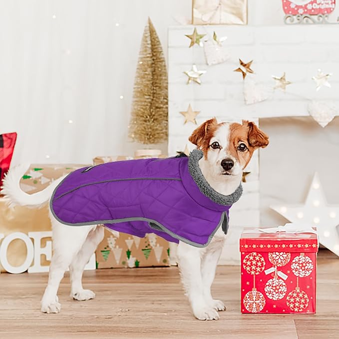 Fragralley Dog Coat Medium, Waterproof Dog Jacket with Warm Fleece Lining, Adjustable Reflective Dogs Winter Coat, Turtleneck Pet Coats for Cold Weather (Purple M)