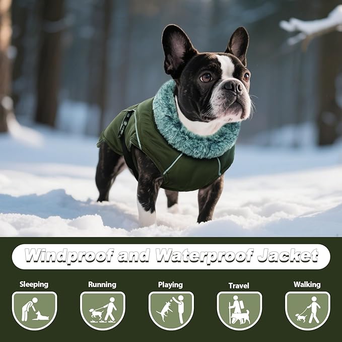 DENTRUN Winter Warm Dog Coat Reflective Jacket with Turtleneck for Cold Weather, Adjustable Buckle Windproof Water Repellent, Thick Snowsuit Fleece Vest for Small, Medium, Large Dogs, Green, XXL