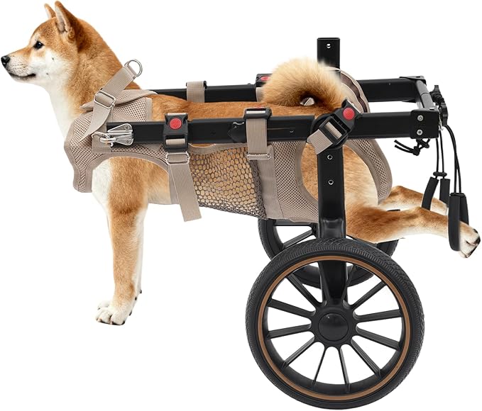 Pet Rehabilitation Walking Aid for Large Dogs, Adjustable 2-Wheel Dog Wheelchair for Back Legs with Breathable Mesh Harness for Senior Disabled Dogs Recovery Support