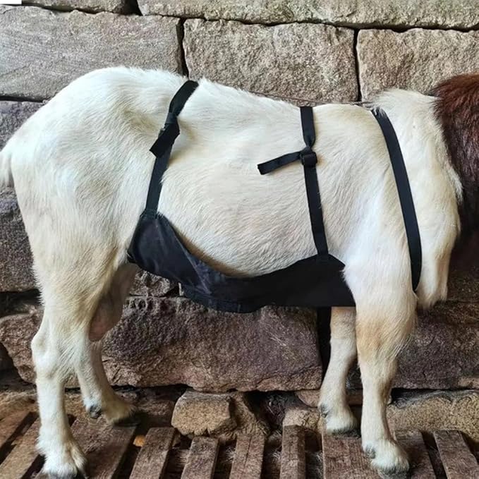 Goat Anti Breeding Apron, Anti Mating Skirt for Sheep & Goats, Animal Supplies, Livestock Clothing with Adjustable Strap, Prevent Unwanted Breeding