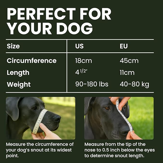 BRONZEDOG Dog Muzzle Adjustable Durable Metal Wire Basket for Large and Extra Large Dogs with Leather Straps Breathable, Drinkable, Training, Prevents Biting (Stainless Steel, Great Dane)