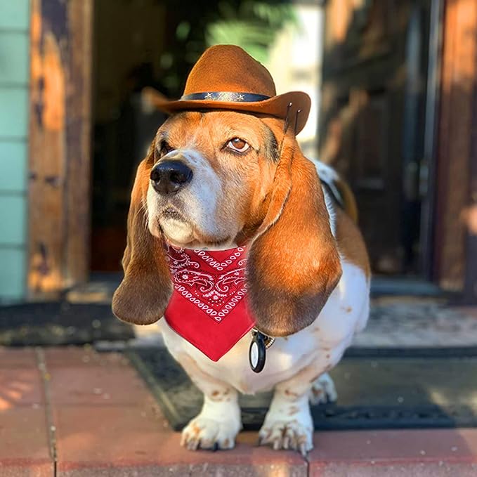Dog Cowboy Hat & Bandana Scarf (Coffee, Adjustable, Large) - Cute Pet Apparel Costume for Dogs & Cats - Holiday Party Decoration & Surprise Gift