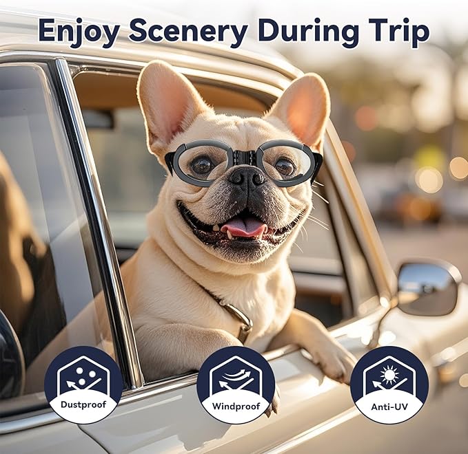 Dog Goggles with Replaceable Lens Eye Protection Dog Sunglasses for Small to Medium Breed for Outdoor Riding/Driving/Walking/Surgery Recovery