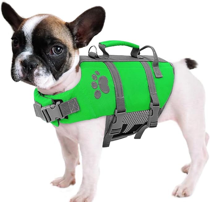 Queenmore XS Dog Life Jacket, Puppy Life Jackets for Small Dogs, Small Dog Life Vest for Swimming, Lightweight Extra Small Dog Life Vest with Handle Adjustable Dog Life Vest for Boating, Cat Lifevest