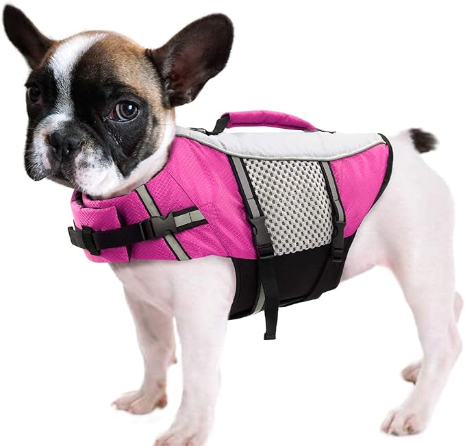 Queenmore Dog Life Jacket Swimming Vest Small Medium Dogs Neoprene Water Boating Life Preserver Lightweight Reflective Cat Puppy Kayaking Lifesaver for Bulldog,Dachshund,Boston Terrier (Pink,L)