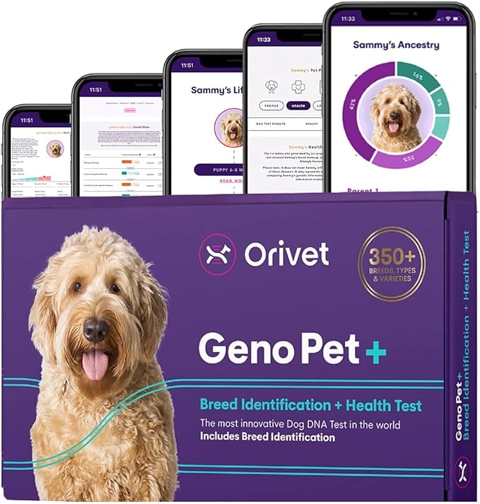 ORIVET Dog DNA Test Kit – Comprehensive Dog DNA Test Kit for 365+ Breed Identification & 330+ Health Markers | At Home Dog DNA Kit with Canine Genetic Testing & Life Plan Genopet Plus