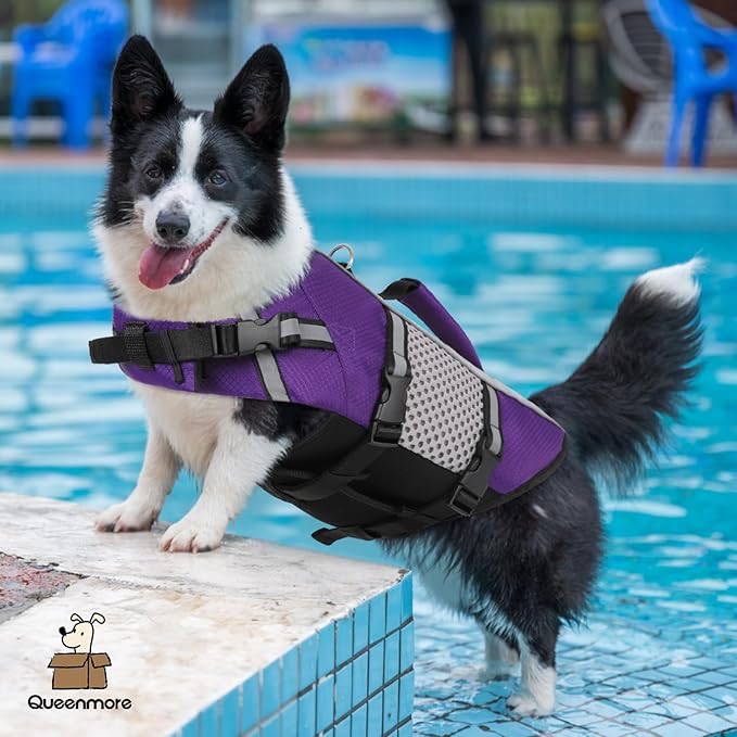 Queenmore Dog Life Jacket Swimming Vest Lightweight High Reflective Pet Lifesaver with Lift Handle, Leash Ring Purple,L