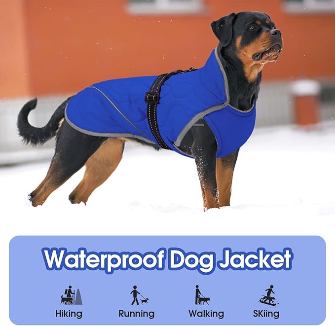 IDOMIK Dog Winter Jacket, Adjustable Waterproof Dog Warm Coat with Fleece Lining, Turtleneck Windproof Cold Weather Coats for Winter, Reflective Warm Snow Jacket for Maltese Shih Tzu,Blue,S