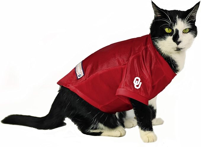 Littlearth NCAA Stretch Pet Jersey