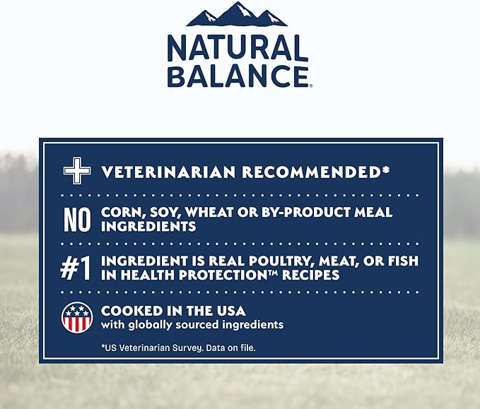 Natural Balance Health Protection Dry Dog Food – Whole Body Health, Easy on Digestion Dog Food Made with Salmon, Brown Rice & Pumpkin for Dogs - 22lbs.