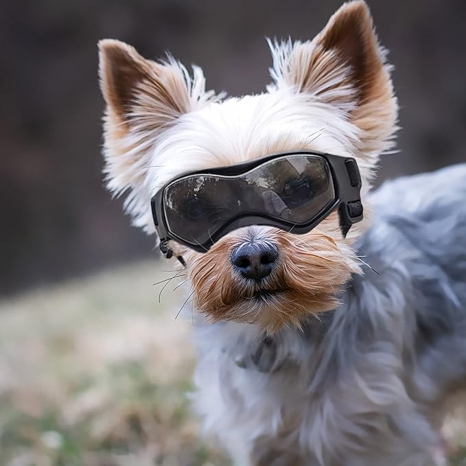 XS Dog Goggles for Extra Small Breed UV/Wind/Dust Protection Chihuahua Sunglasses with Adjustable Strap - Black
