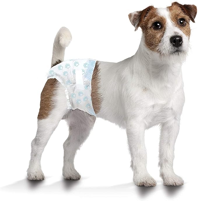 Four Paws Wee-Wee Super Absorbent Disposable Adjustable Dog Potty Training Diapers, Leak-Proof Protection for Dogs, Size Small, 12" - 15" Waist, 36 Count