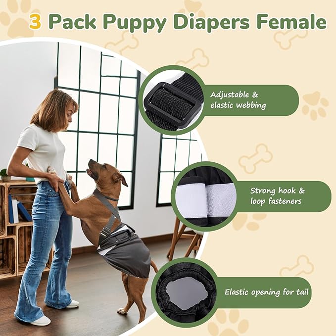 Washable Female Dog Diaper for Large Dogs, 3 PCS Adjustable Suspender Dog Sanitary Panties, Highly Absorbent Reusable Doggie Diapers for Small Medium Girl Dogs in Heat (L)