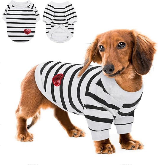 Queenmore Medium Dog Shirt,Soft Breathable Dog Shirt for Dogs Cats Boy Girl,Pet Clothes for All Season,Breathable Lightweight Pet Tshirt for Frenchie, Dachshund, Yorkie