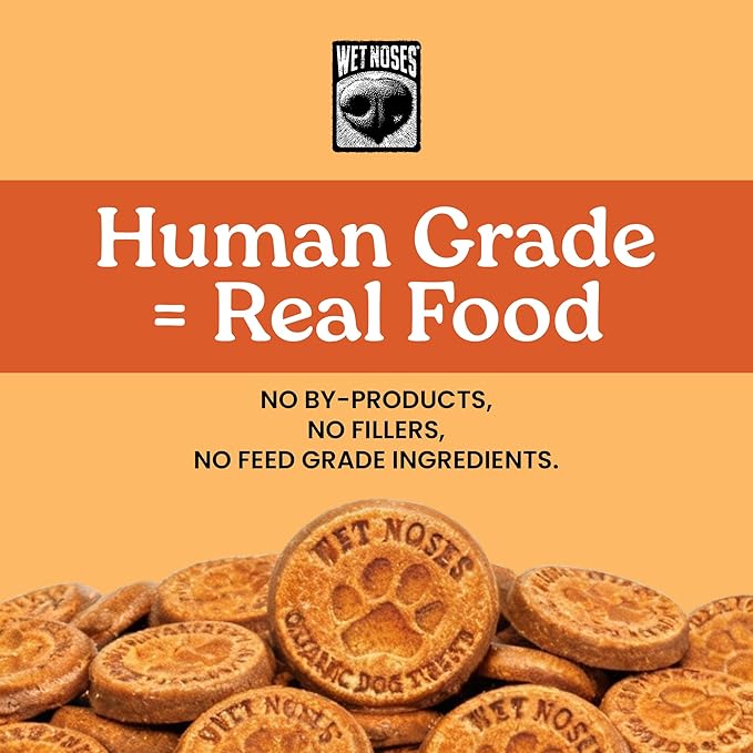 Wet Noses Organic Crunchy Dog Treats Grain Free – All-Natural, Human-Grade, Non-GMO, Healthy Training & Delicious Snacks for Dogs, for All Dog Sizes & Breeds – Pumpkin & Quinoa, 14oz (2 Pack)
