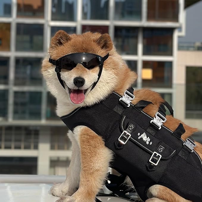 Dog Goggles for Small to Medium Breed, Dog Sunglasses UV Protection, Windproof & Anti-Fog, Puppy Sunglasses with Padded Frame and Adjustable Straps for Outdoor Riding, Driving（Black）