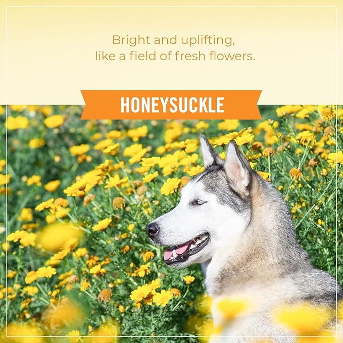 SKOUT'S HONOR Probiotic Grooming Essentials Bundle - Honeysuckle
