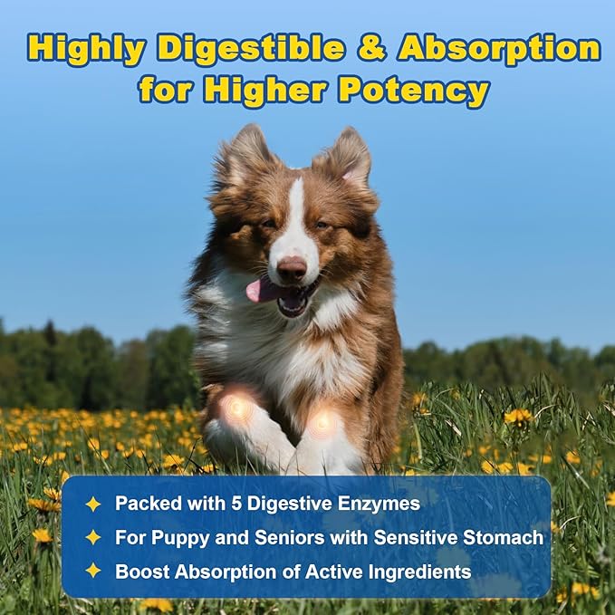 Glucosamine for Dogs - Joint Supplement for Dogs - Chondroitin, MSM, Omega-3, Support Mobility, Cartilage, Dog Joint Pain Relief, Hip and Joint Supplement Dog for All Breed, 120 Crunchy Bite