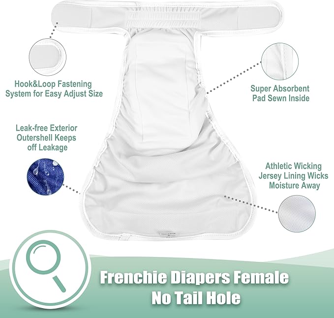 wegreeco XX-Large Dog Diapers Female No Tail Hole, Reusable French Bulldog Diapers Female (Jeans XX-Large)