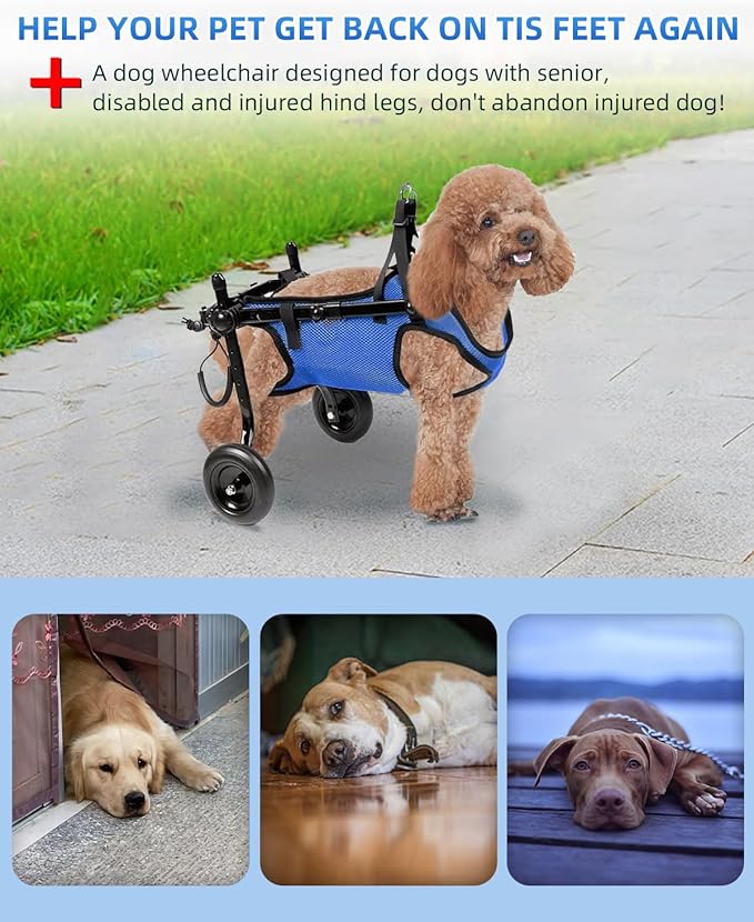 Dog Wheelchair for Back Legs, Cart Doggy Wheelchair with Disabled Hind Legs, Brace and Hip Support, Walking Mobility Aids for Small Pets Hind Limbs Dog Carts with Wheels, Adjustable