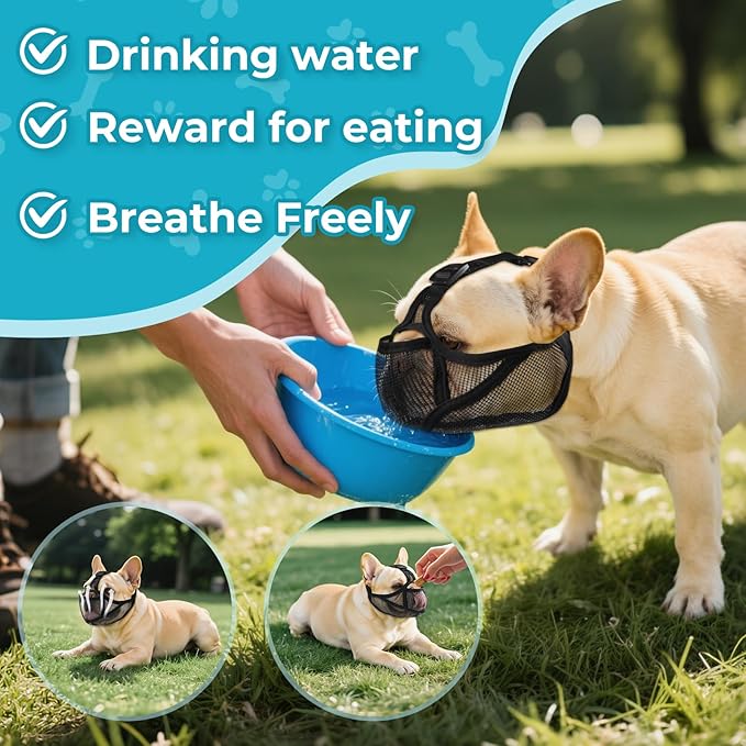 Soft French Bulldog Muzzle with Eye Hole, Adjustable Short Snout Dog Muzzle for French Bulldog, Pug, Shih Tzu, Anit Biting Chewing, Allow to Drink and Feed(L,Black)