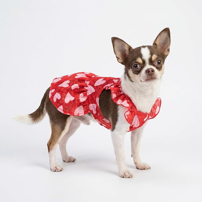 Fitwarm Valentine's Day Sweet Heart Dog Dress, Red & Pink, XXS