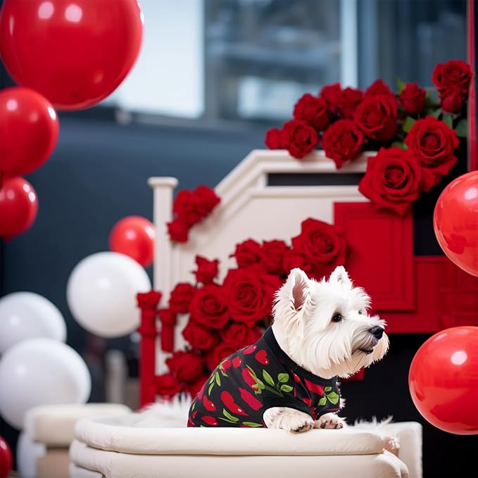 Valentines Dog Shirts XS Extra Small Dog Girl Boy Sleeveless Tank Top Tee Vest T Shirts Black Red Male Female Outfit Pack of 2